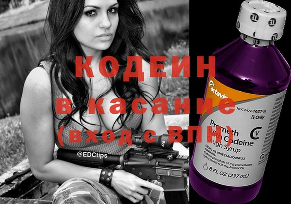 индика Алзамай