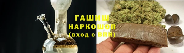индика Алзамай