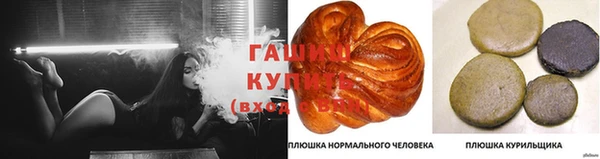 индика Алзамай