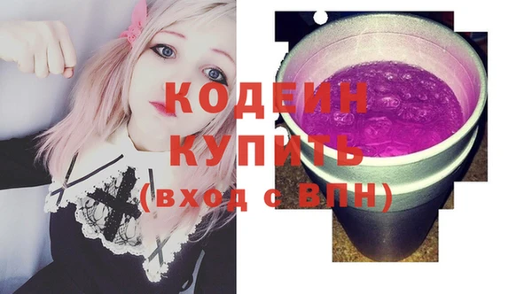 индика Алзамай